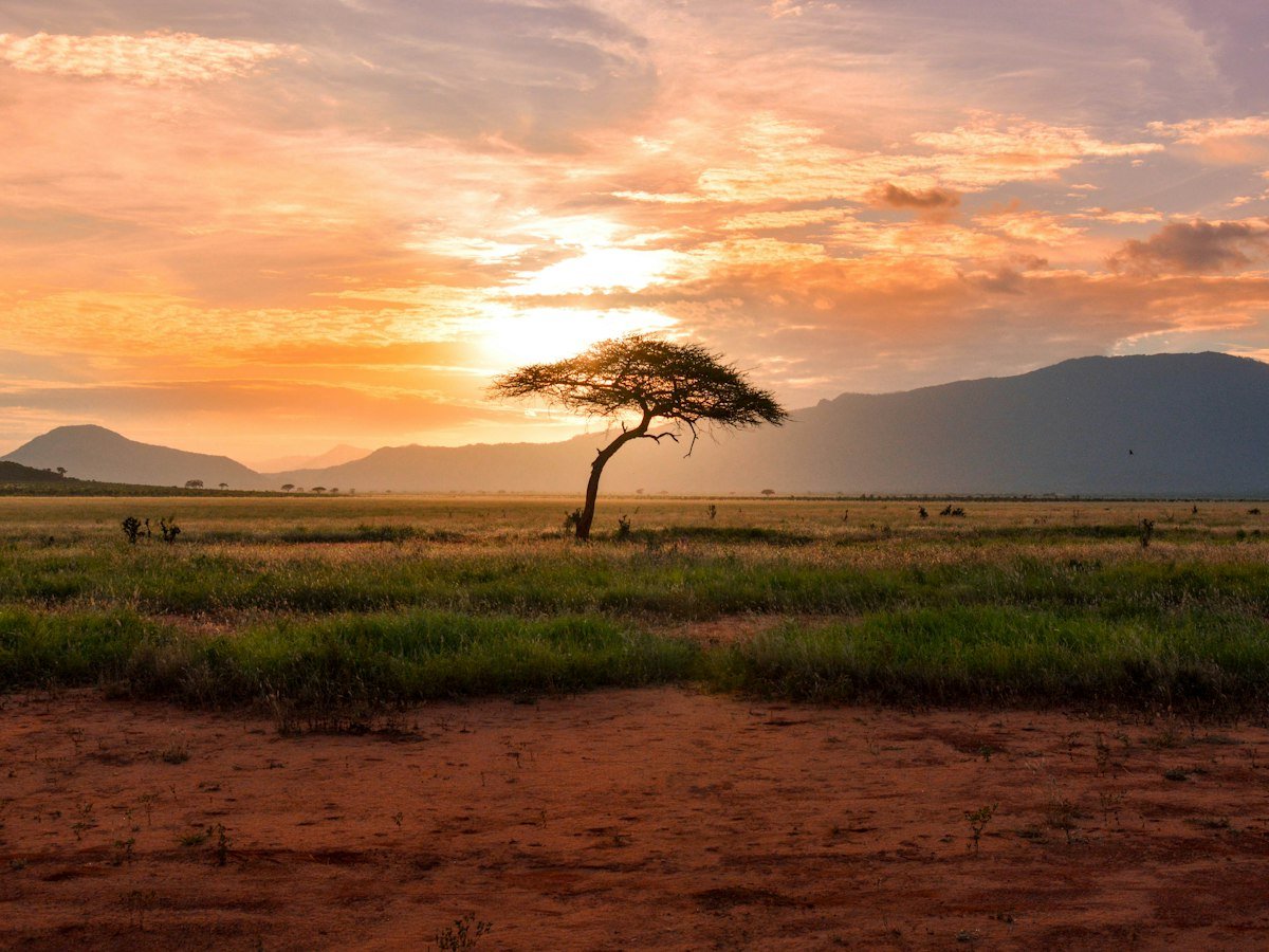 Flights to Entebbe, Uganda